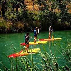 PADDLE surf